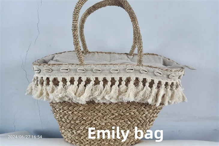 Проектирани женски чанти Raffia